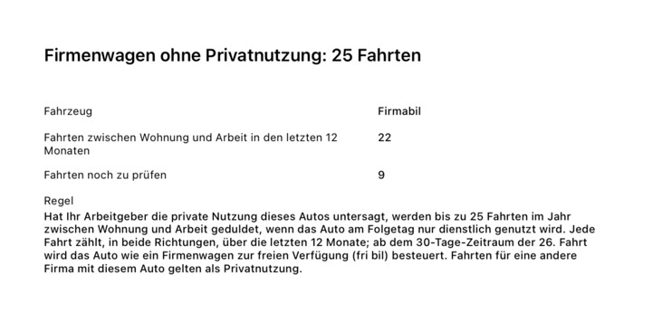 Die PDF-Berichtsseite „Firmenwagen ohne Privatnutzung: 25 Fahrten“: 22 Fahrten zwischen Wohnung und Arbeit in den letzten 12 Monaten, 9 Fahrten noch zu prüfen und die Regel