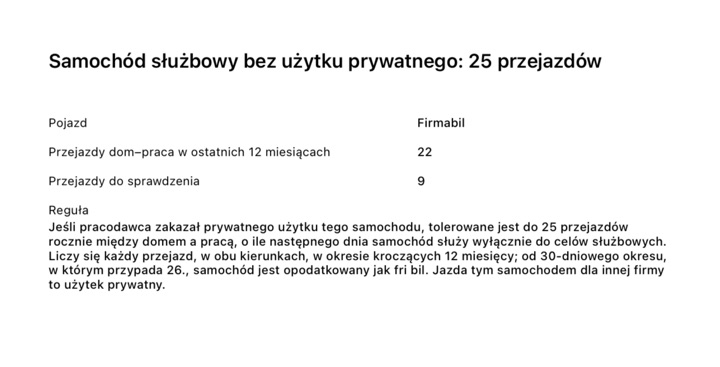 Strona raportu PDF „Samochód służbowy bez użytku prywatnego: 25 przejazdów”: 22 przejazdy dom–praca w ostatnich 12 miesiącach, 9 przejazdów do sprawdzenia i reguła